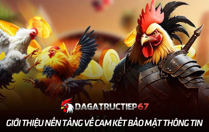 Giới thiệu nền tảng về cam kết bảo mật thông tin