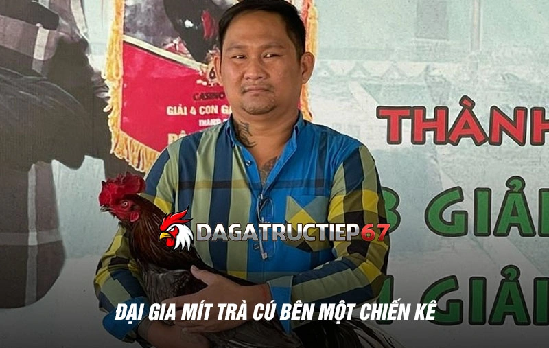 Hình ảnh đại gia Mít Trà Cú bên một chiến kê