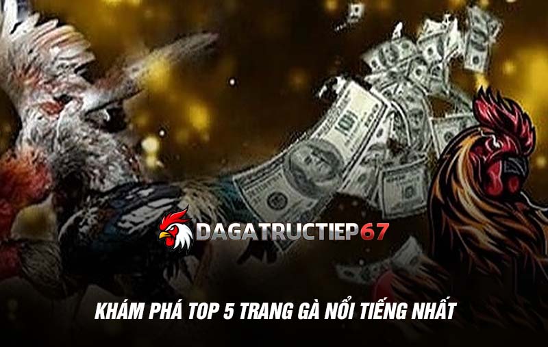 Khám phá top 5 trang gà nổi tiếng nhất